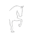 whatsapp image 2025 12 24 at 1.43.27 am removebg preview