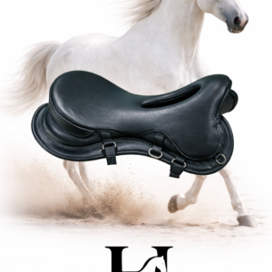 191d0b28 5539 4862 af0e 57f15ac5b916