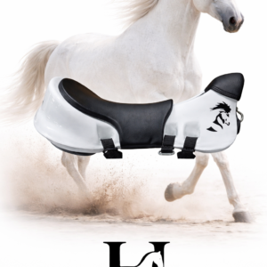 980279bf 6a7e 424d 8106 2609ad02f172