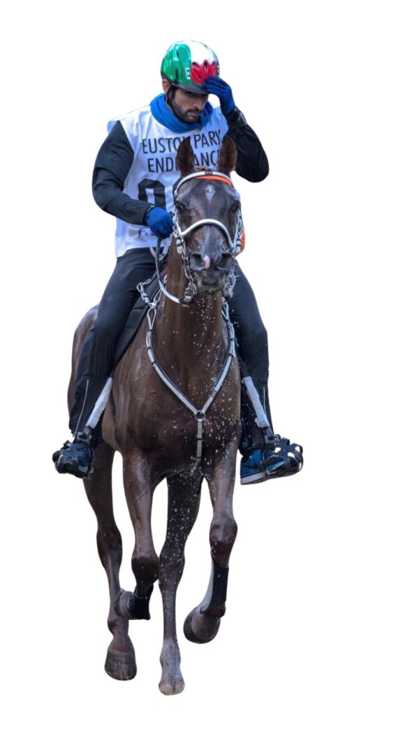 whatsapp image 2026 03 16 at 2.23.35 am