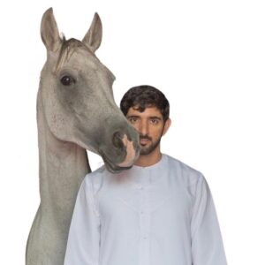 SADDLE